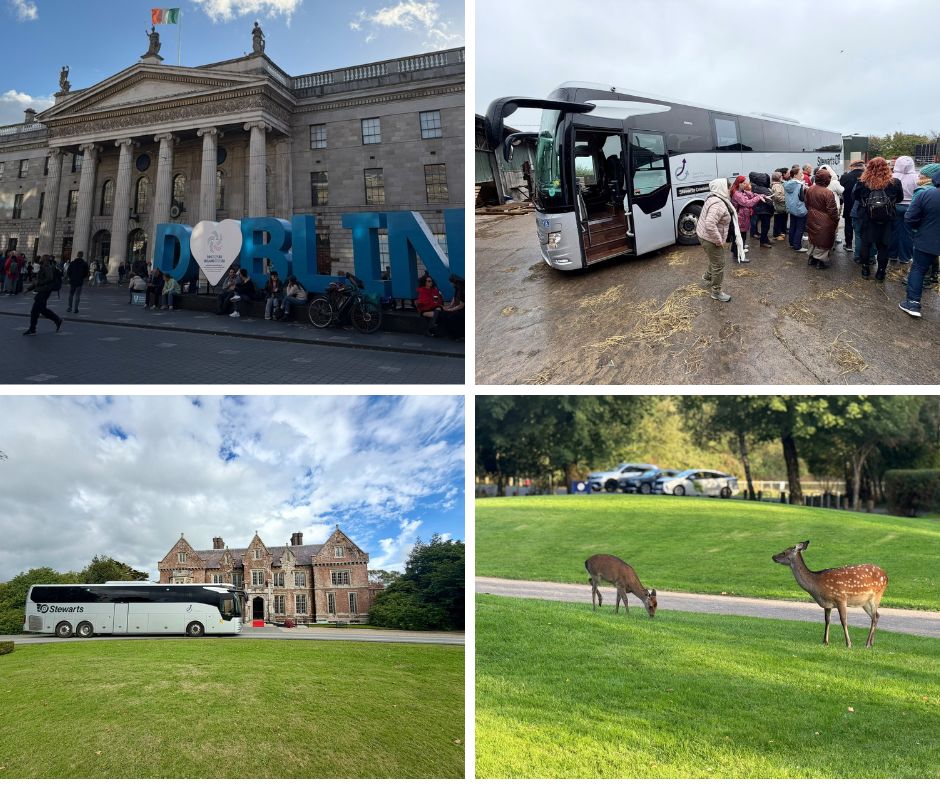 Collage of trip photos