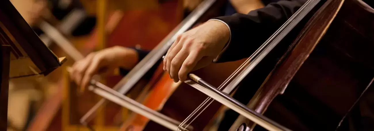 String section of orchestra